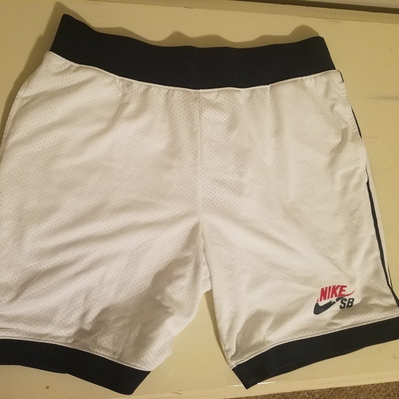 nike sb dry court shorts